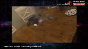 Злой дед Максим сломал телефон из-за майкла шок бомбануло