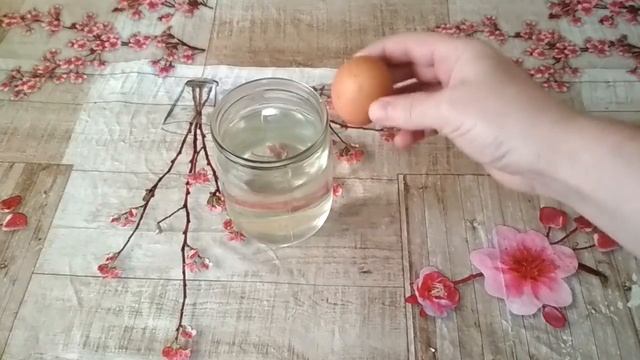 Проверяем свежесть куриных яиц. Как проверить яйца на свежесть смотреть онлайн