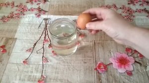 Проверяем свежесть куриных яиц. Как проверить яйца на свежесть
