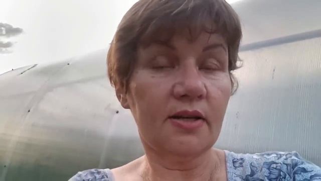 Кипиш того стоил!!! Мы рождены, чтоб сказку сделать былью! смотреть онлайн