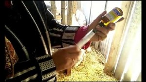 ?Кальций для? коз?.