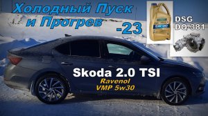 Skoda A8: Холодный Пуск Ravenol VMP 5w30 Минус 23 и DSG (2024)