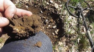 ВЕСЕННИЙ КОП В КРЫМУ