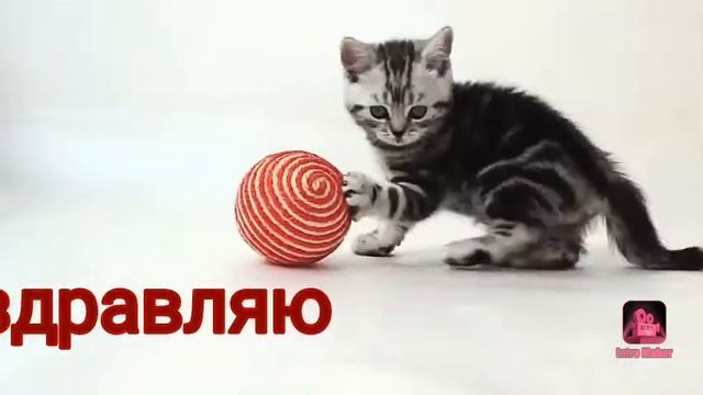 Всех женщин с наступающим 8 марта!!((( смотреть онлайн
