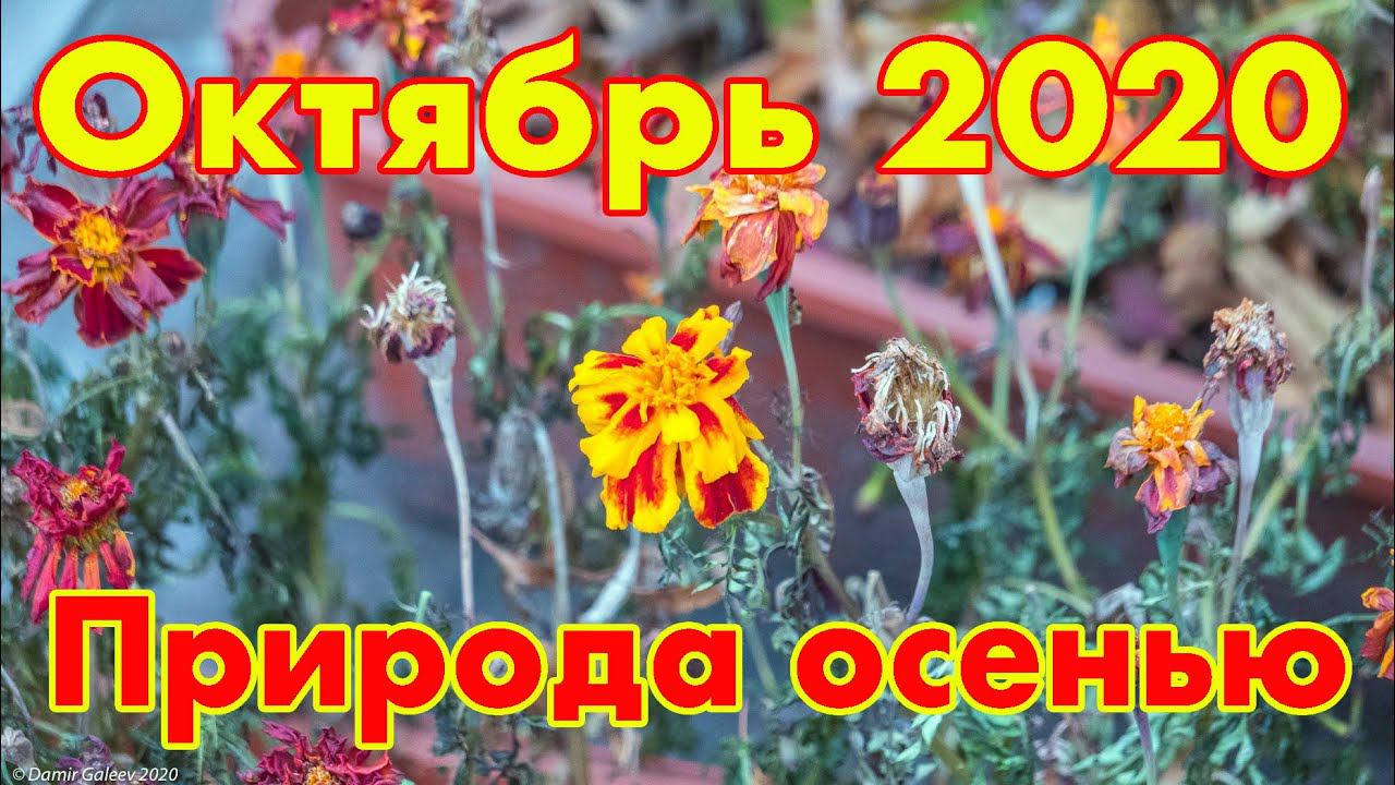 Осеннее настроение на озере Увильды в октябре