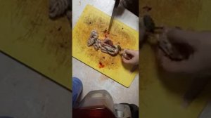Ощипывание и разделывание тушки бойлера.  Обработка курицы от начала и до конца.
