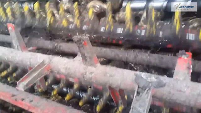 Уборка сахарной свеклы Украина 2017 Grimme Maxtron 620 смотреть онлайн
