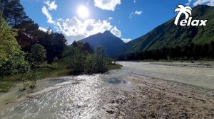 Immerse Yourself in the Tranquil Birdsong Serenade on the River