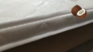 Отзыв о матрасе топпер Dimax Оптима Ролл Лайт