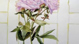 Janis Herbison Watercolor Paintings - Slideshow