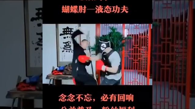 Секретная техника локтевых ударов в кунгфу! смотреть онлайн