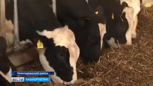 Зианчуринский р-н с.Новые Чебенки