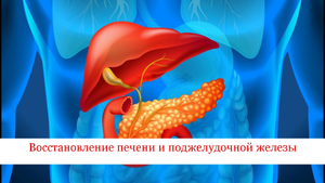 Недорогие препараты для восстановления печени