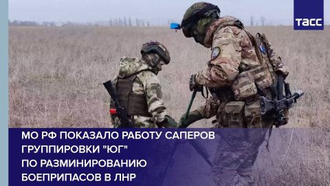 МО РФ показало работу саперов группировки "Юг" по разминированию боеприпасов в ЛНР