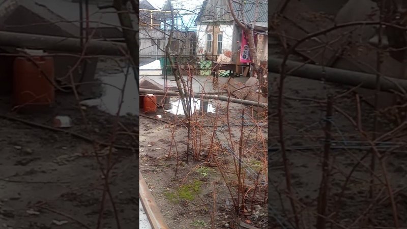 Мы будем жить теперь по Новому.