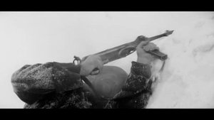 Дельфин   Иду искать