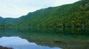 📌Я тебе изменила...🟥 Истории из жизни🟥Аудио рассказ🟥Жизненные истории