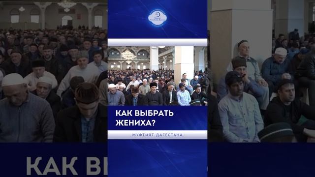 Как выбрать жениха смотреть онлайн