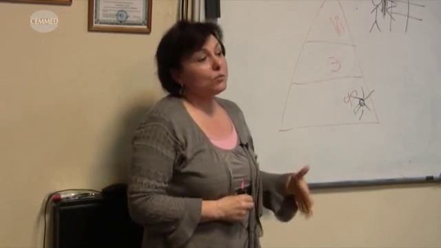 СЕММЕД в Европе
