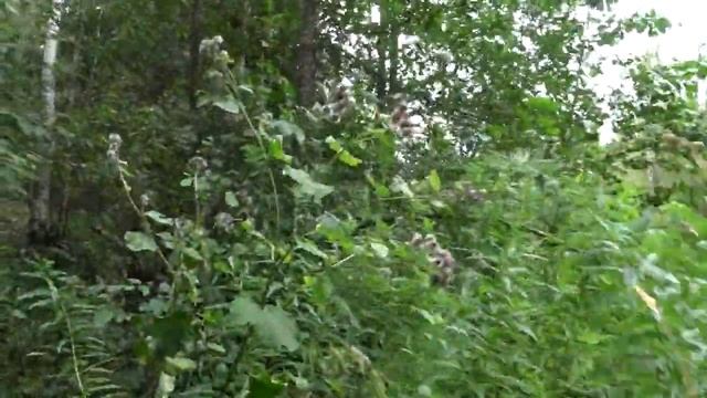 ПВД Беклемишево, река Нерль, поселок Пречистое.  Часть 1