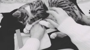 Сошьём косметичку??//для прокладок?//или купим??//Кристина✌?❤️