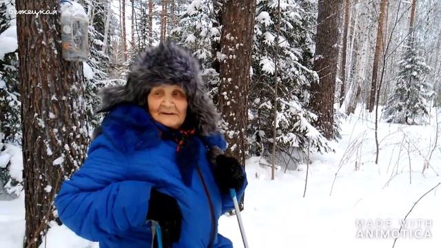 В новогоднем лесу жизнь кипит.