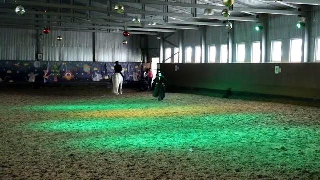 Новогоднее представление Мышильда в гостях у Золушки смотреть онлайн