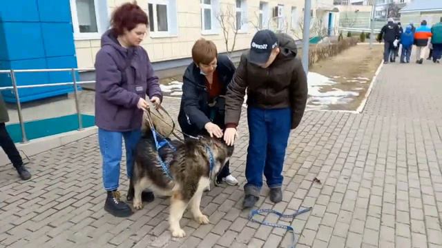 "Шалопаи Севера" смотреть онлайн