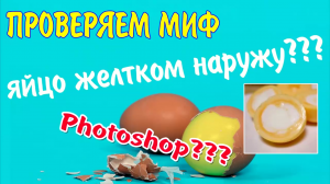 Яйцо желтком наружу??? | Проверяем миф 