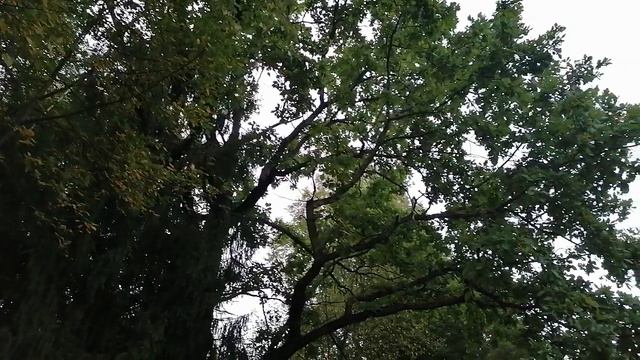 VID_20240814_200535