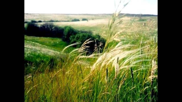 Гимн Чеховского книжного фестиваля смотреть онлайн