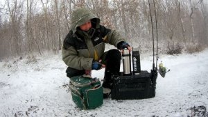 НЕОБЫЧНЫЕ ВИДЫ РЫБ пойманные на микроджиг.2019