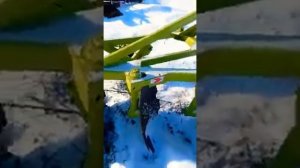 обзор самодельного дискового плуга для мтз