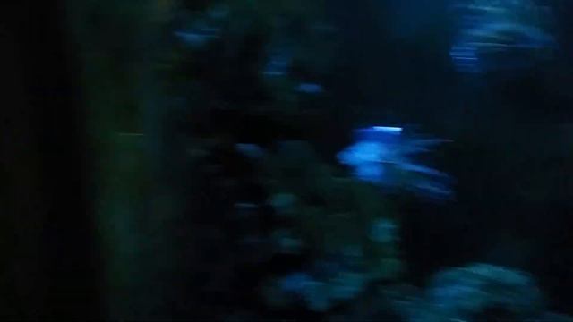 Красноярский зоопарк Роев Ручей Парк динозавров смотреть онлайн