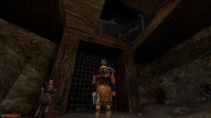 Оригинальная Gothic (Готика): Прохождение ЧАСТЬ 9 | DAMIANoNE