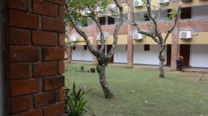 The Long Beach Resort 4*, Шри-Ланка, Когалла, отвратительный отель, большой шум