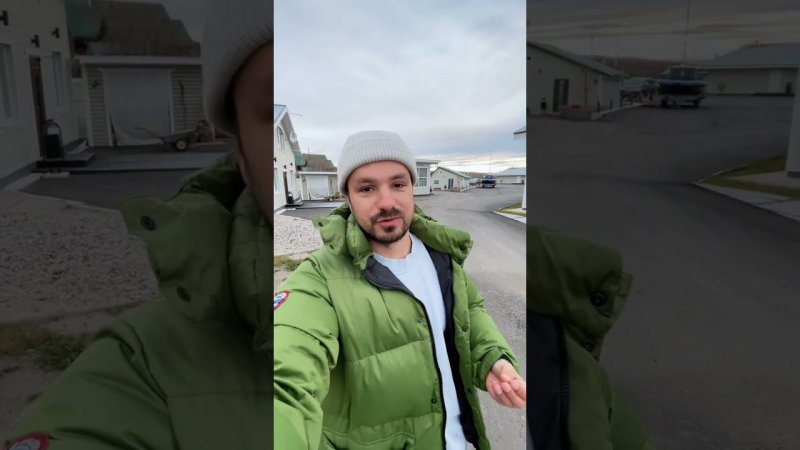 Живу в тундре