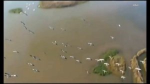 АЛЕКСАНДР КАЛЬЯНОВ  - ВЫШЕЙ МНЕ РУБАХУ BSH