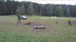 ОСК "Гроза" Система А.А,Кадочникова