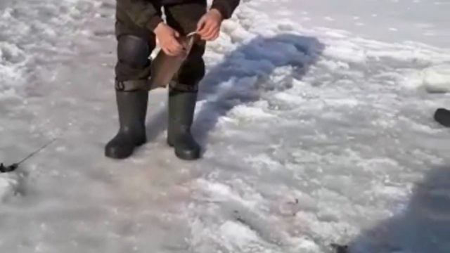 Зарыбление форели 100 кг 05.04.22 смотреть онлайн