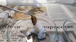 Горение перманганата калия и глицерина