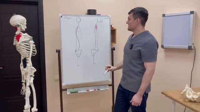 Один раз сделал и сутулиться не смог никогда после этого. Правильная осанка за 5 минут на всю жизнь