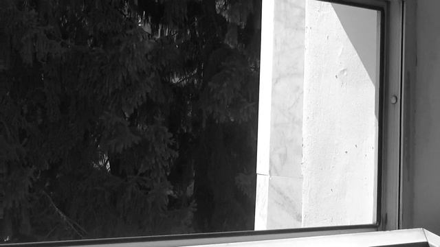 merge(2).mp4 смотреть онлайн