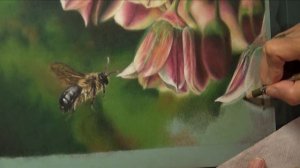 Bee & Alliums Part 2 Deb Stanley Art