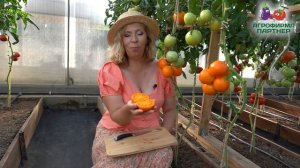 НОВИНКА! ВКУСНЫЙ И МЯСИСТЫЙ ОРАНЖЕВЫЙ БИФ!