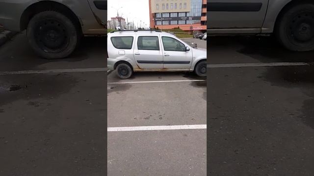 Что будет если не обрабатывать жучки на авто??