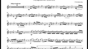 P.Tchaikovsky - Neapolitan dance from "Swan Lake" - T.Dokshizer trumpet Bb
