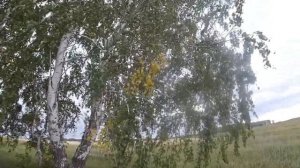 Абдрахман аул в Павлоградском районе Омской области_Abdrakhman aul in Omsk region