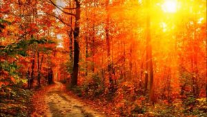 Музыка осени