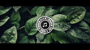 Punch Deck - Under The Stars